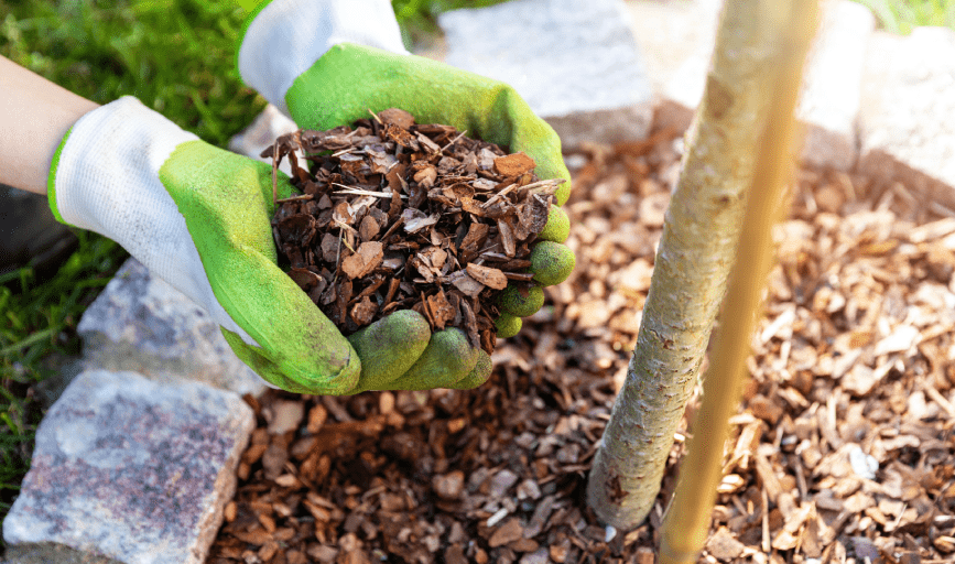 J&L Bros Lawn Care Landscaping 